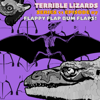 episode TLS11E07 Flappy Flap Bum Flaps artwork