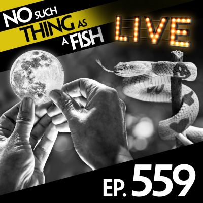 episode 559: No Such Thing As Fishing In The Sea Of Tranquility artwork