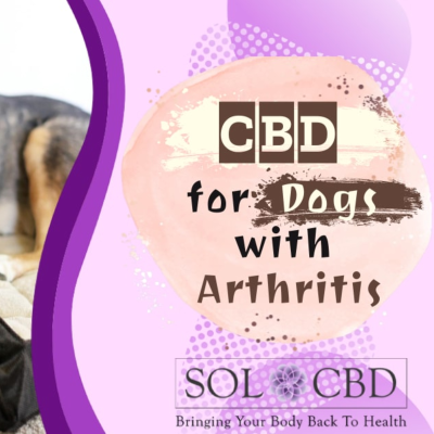 episode CBD Oil for Dogs with Arthritis [2022 Update] artwork