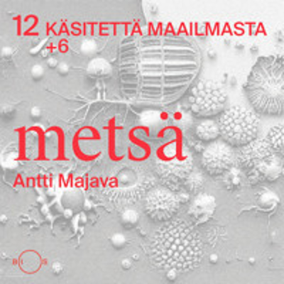 episode 12 käsitettä maailmasta. Erikoisjakso 6: Metsä artwork