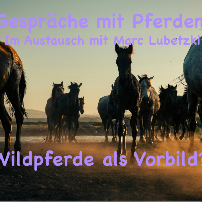 episode #43 Wildpferde als Vorbild für unsere Kommunikation? artwork