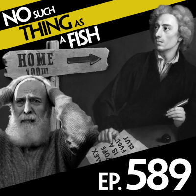episode 589: No Such Thing As Dung Beetles In Madame Tussauds artwork