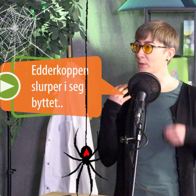 episode Hvorfor pynter vi med edderkopper til halloween? artwork