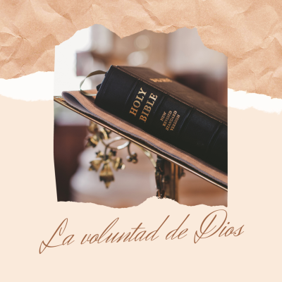 episode La voluntad de Dios artwork