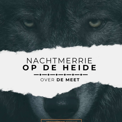 episode 5. Nachtmerrie op de heide artwork