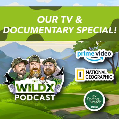 episode Episode 30 - TV & DOCUMENTARY SPECIAL!!!! artwork