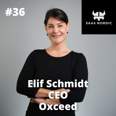 episode 36. Elif Schmidt CEO, Oxceed - Leadership in a B2B SaaS company - you have to love change! artwork