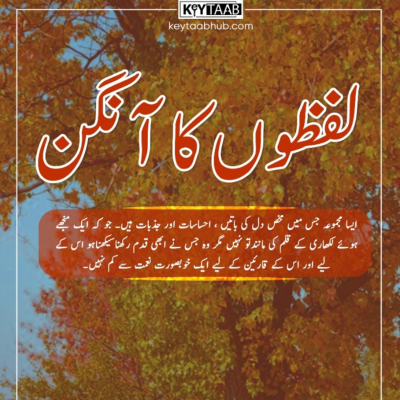 episode Lafzoun ka Angan artwork
