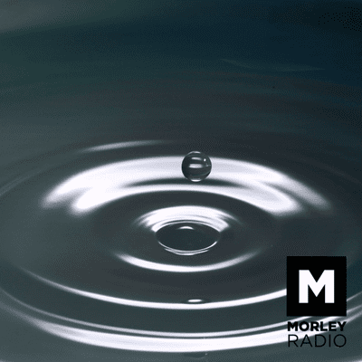 episode Mindful Morley artwork