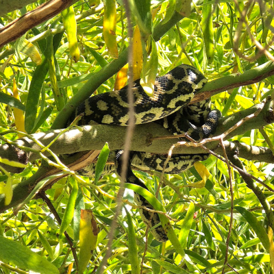 episode Episode 769: December 13, 2025 artwork