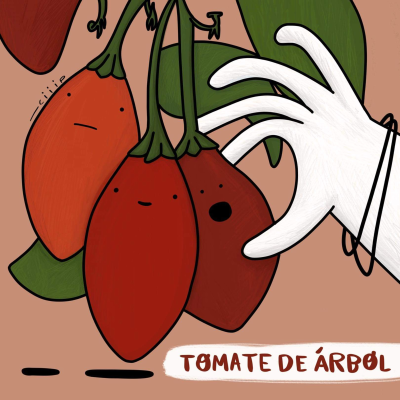 episode Tomate de Árbol artwork