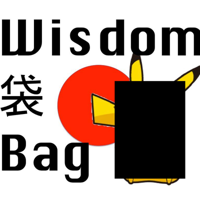 Wisdom Bag
