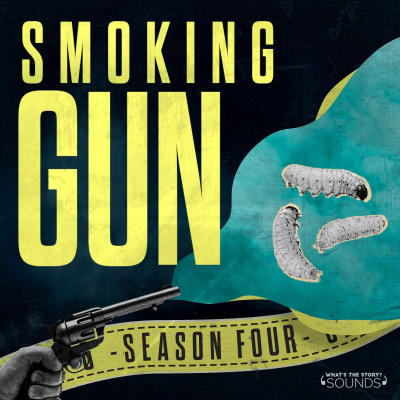 episode The Maggot artwork