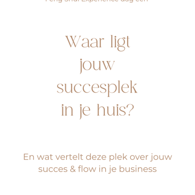 episode Feng Shui Experience: [Video 1] Waar ligt jouw succesplek en wat vertelt dit over jouw succes & flow? artwork