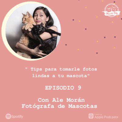 episode E9. Tips para tomarle fotos lindas a tu Mascota | Ale Morán Fotógrafa de Mascotas artwork