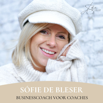 episode Korte mindset tip waardoor je veel meer plezier zal hebben in het runnen van je business artwork