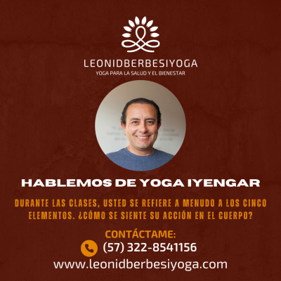 episode Hablemos de Yoga Iyengar - Durante las clases, usted se refiere a menudo a los cinco elementos. ¿Cómo se siente su acción en el cuerpo? artwork