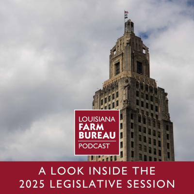 episode A Look Inside the 2025 Legislative Session artwork