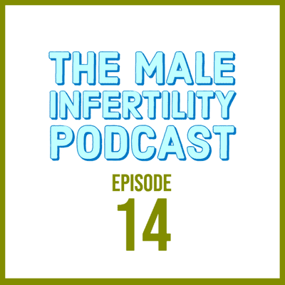 episode Episode 14 : Interview with Brandon Johnson, who is a Fertility coach and Therapist artwork