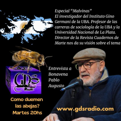 episode ¿Cómo duermen las abejas? Hoy: Malvinas en la visión de Pablo Bonavena en 2 de abril de 2025 artwork