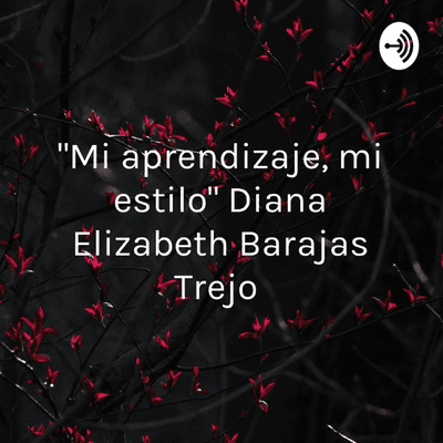 "Mi aprendizaje, mi estilo" Diana Elizabeth Barajas Trejo