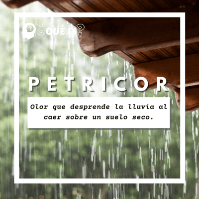 episode Petricor artwork