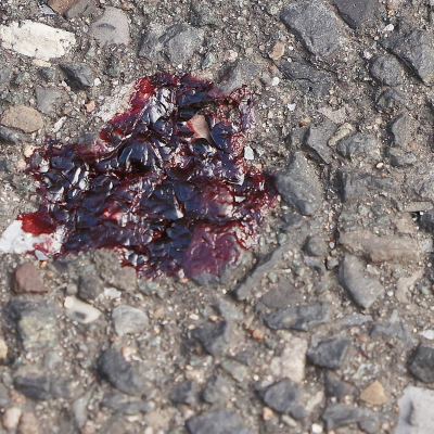 episode Markus Rieger-Ladich: Die Wurzel der Unmenschlichkeit artwork