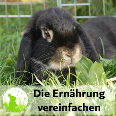 episode Kaninchen-Ernährung vereinfachen - mach dir das Leben leichter! artwork