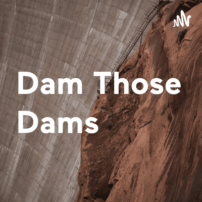 Dam Those Dams