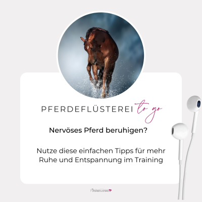 episode Schreckhaftes Pferd? DAS macht den Unterschied! 😮 artwork