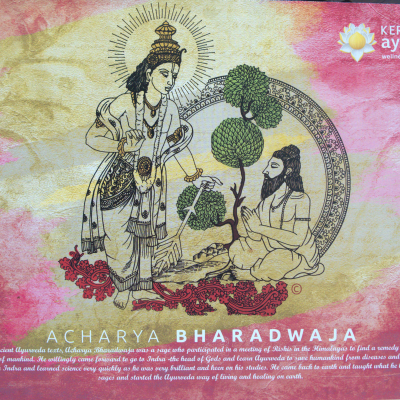 episode Ayurvedic Methods of Assessment artwork