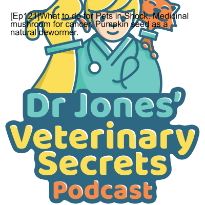 episode [Ep121]What to do for Pets in Shock. Medicinal mushroom for cancer. Pumpkin seed as a natural dewormer. artwork