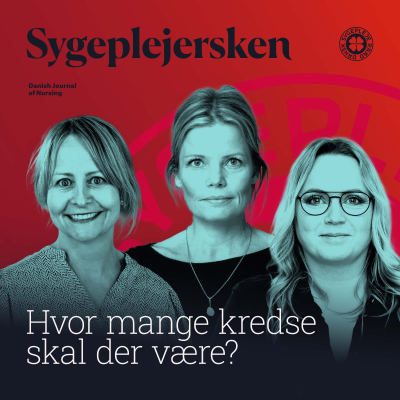 episode Podcast 2: Hvor mange kredse skal der være? artwork
