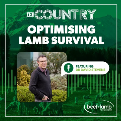 episode Optimising Lamb Survival Ep.1 with Dr David Stevens artwork