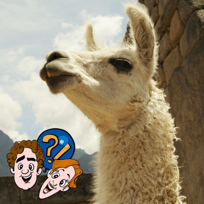 episode Kann man mit Lamas einen Kirschkern-Weitspuck-Wettbewerb machen? artwork