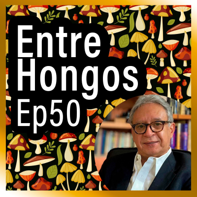 episode Entre Hongos Ep. 50 - Micosis superficiales emergentes (Dr. Alexandro Bonifaz Trujillo) artwork