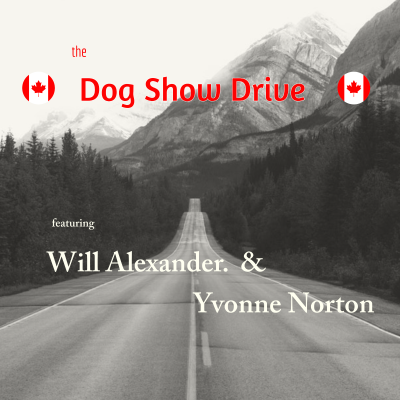 episode The Dog Show Drive - Canadian Edition - Episode 50 artwork