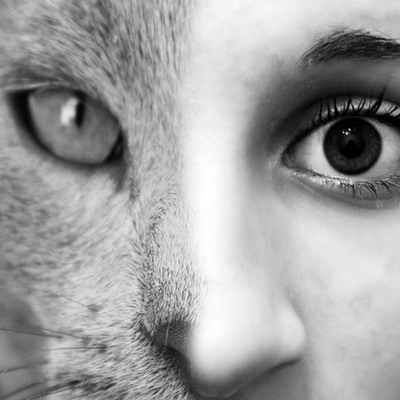 Imagen de portada del programa Rahu and Ketu in Astrology (hindi)