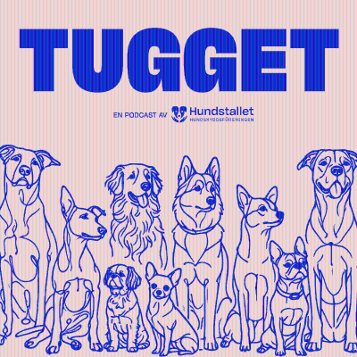episode Hundadoptionens ABC med Therese Lindgren artwork