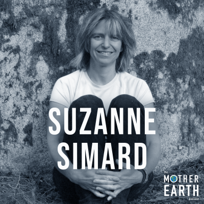 episode Suzanne Simard artwork