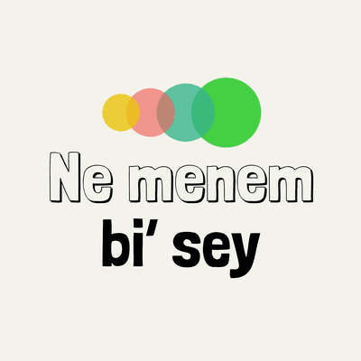 Kansikuva näyttelystä Ne Menem Bi' Şey