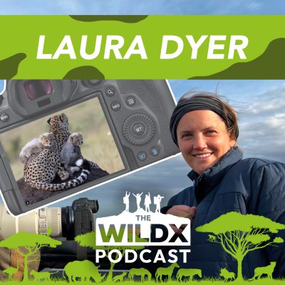 episode Episode 14 - Laura Dyer - South African Wildlife Photographer and photo guide. artwork