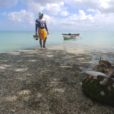 episode Samoa, det grønne paradiset i Stillehavet artwork