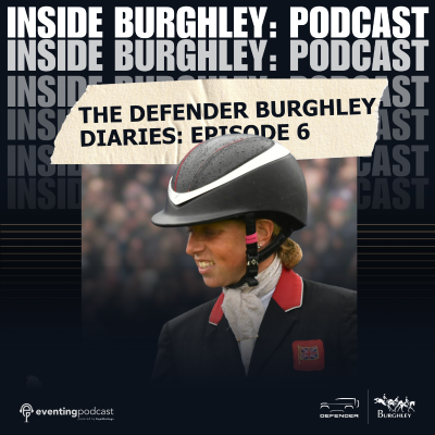 episode The Defender Bughley Diaries: Episode 6 artwork