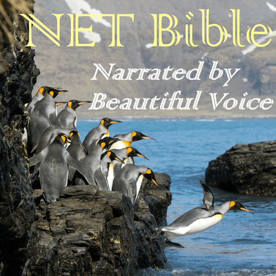 NET Bible