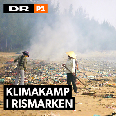 Klimakamp i rismarken