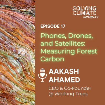 episode Episode 17: Phones, Drones, and Satellites: Measuring Forest Carbon with Aakash Ahamed, CEO @ Working Trees artwork