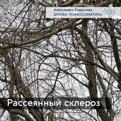 episode Рассеянный склероз. artwork