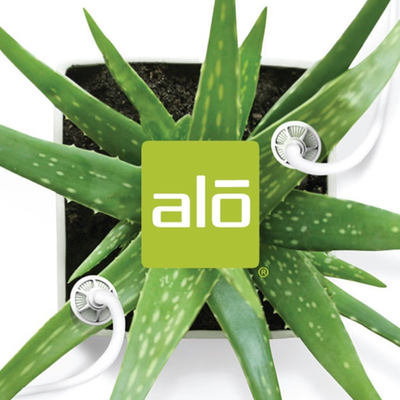 ALO New Drinking Experiment