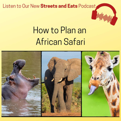 episode How to Plan Your Dream African Safari artwork